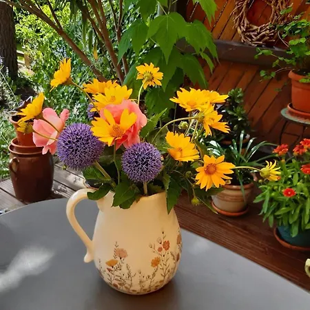 Ankert 公寓 芬特斯沃德