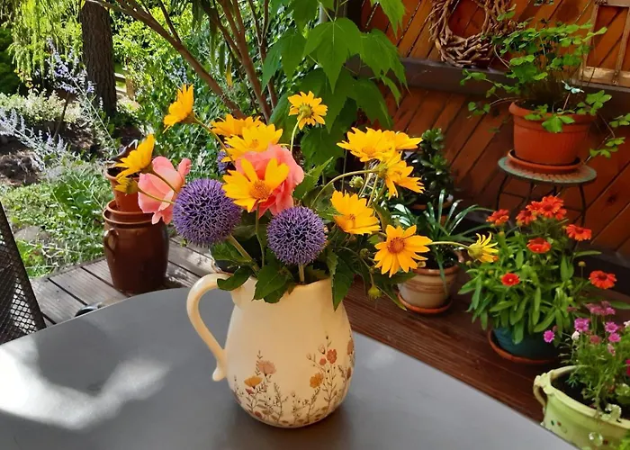 Ankert Lejlighed Finsterwalde